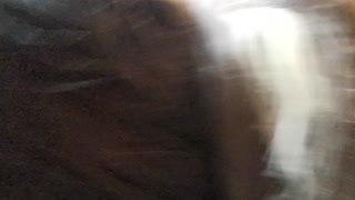 My stepdaughter GETS CAUGHT IN THE CAR before I get home