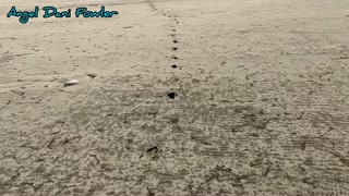 Shameless Masked Slut Angel Fowler Having Fun on Nude Beach with Dani Danger