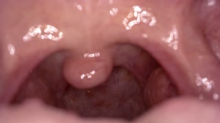 I Fantasize about Swallowing You (VORE Story Time) Mouth tour HQ - ASMR - EROTIC AUDIO