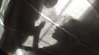 Shadow play, slow motion and satisfying sound. BabyFrankie-KRN