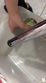 Velvet the giantess and the ants