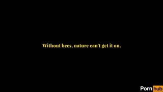 Pollen squirter gets raided by exotic explorer