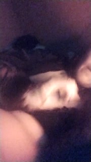 JOI. Two girls and a room. First time with another girl.