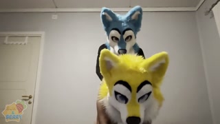 Horny furries fucks in doggy 🐶💦