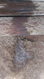 Sexy Step Mom Pissing Public