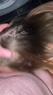 FACE FUCK FOR PAWG SCHOOLGIRL AFTER PROM IN BATHROOM