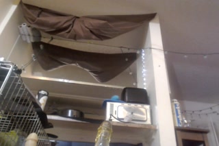 Watch me get creamy right before DPing myself 💦