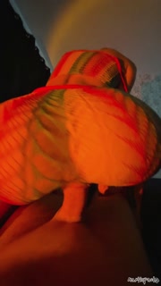 Shut up and just be my dildo, stepbro! 😜