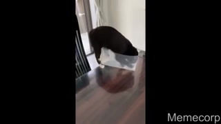 Excerpts of fucking with a content producer from another state