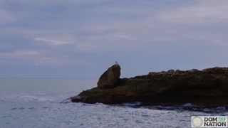 Italian babe Silvia Soprano worships her dominant's ass and feet as they walk along the sea