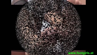 footjobs cum on feet