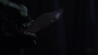 Trailer: Venom Porn Parody