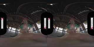 VR Porn Street Fighter Sex Fantasy With Cammy VRCosplayX.com