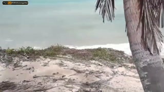 girl goes for a walk on the deserted beach they went to have sex