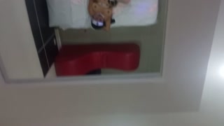 MY STEPMOTHER WEARS EXOTIC LINGERIE AND MODELS HER DELICIOUS BUTTOCKS TOUCHING HER VAGINA