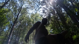 In the wood dick hunting pt2