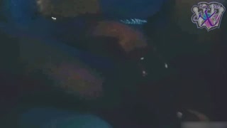 Black Milf Yukisenpai Pleases Pussy Off Roadside To Sexy Audiobook_OF/ManyVids @ KuroYukiExperience